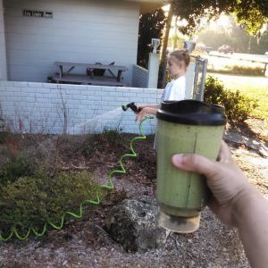 We have Wednesday morning Youth Religious education garden watering . I supervised and drank my greens smoothie